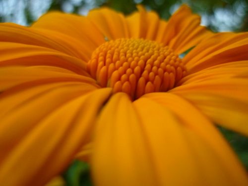 Fotografia de Ronny B - Galeria Fotografica: So Far - Foto: 