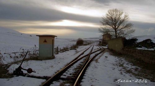 Fotografia de machin - Galeria Fotografica: Palencia - Foto: Cillamayor. Palencia