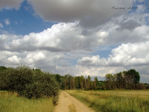 Fotografia de machin - Galeria Fotografica: Palencia - Foto: Osorno La Mayor. Palencia