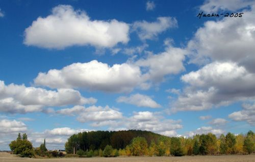 Fotografia de machin - Galeria Fotografica: Palencia - Foto: Osorno La Mayor. Palencia