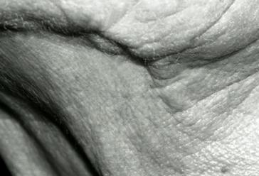 Fotografia de M. Esteras - Galeria Fotografica: Macrofotografia B/N y Color - Foto: 