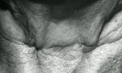 Fotografia de M. Esteras - Galeria Fotografica: Macrofotografia B/N y Color - Foto: 