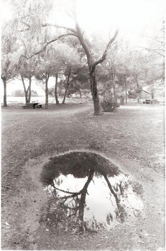 Fotografia de Fran - Galeria Fotografica: Sensaciones - Foto: Reflejo