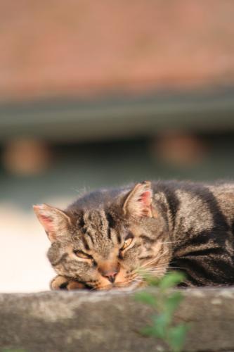 Fotografia de Mercedes Fernandez - Galeria Fotografica: Un segundo - Foto: 7 sueos