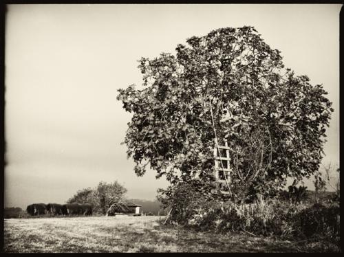Fotografia de Jose Luis R. Novoa - Galeria Fotografica: Formato medio - Foto: 