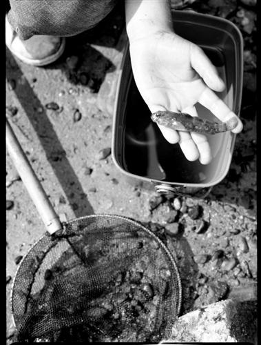 Fotografia de Jose Luis R. Novoa - Galeria Fotografica: Formato medio - Foto: 