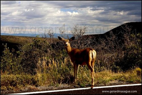 Fotografia de Gerard - Galeria Fotografica: USA I - Foto: 