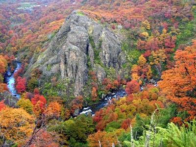 Fotografia de Guillermo F. Fern�ndez - Galeria Fotografica: Paisajes Patag�nicos I - Foto: Camino de los 7 Lagos