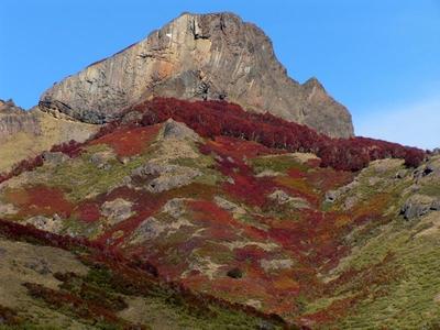 Fotografia de Guillermo F. Fern�ndez - Galeria Fotografica: Paisajes Patag�nicos I - Foto: Camino de los 7 Lagos
