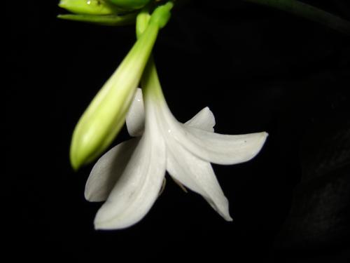 Fotografia de sigifredo - Galeria Fotografica: Colores - Foto: Billete  Money  Cash