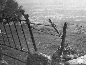 Fotografia de M. Esteras - Galeria Fotografica: Encontradas - Foto: 