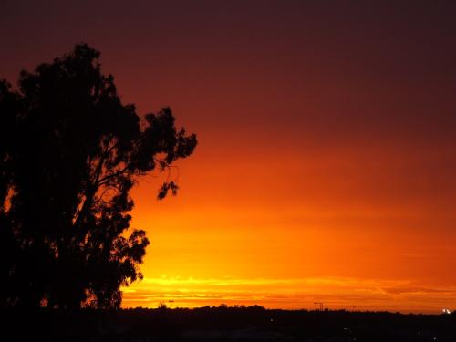 Fotografia de Santaolalla - Galeria Fotografica: Ocasos - Foto: la sombra del eucalipto