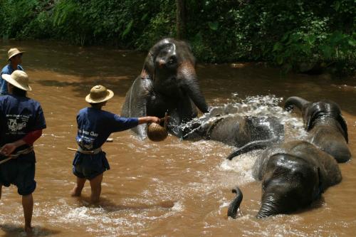 Fotografia de reportajes frances - Galeria Fotografica: tailandia - Foto: 