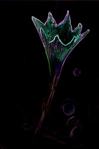 Fotografia de Bodas Mir Fotografias - Galeria Fotografica: Mir Fotografias - Foto: Genesis 1