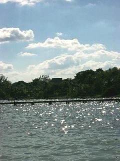 Fotografia de LINAJE MIRANDA - Galeria Fotografica: LINAJE MIRANDA - Foto: 