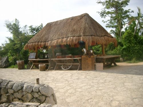 Fotografia de LINAJE MIRANDA - Galeria Fotografica: LINAJE MIRANDA - Foto: 