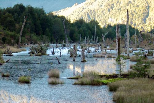 Fotografia de Patricio Rudolffi - Galeria Fotografica: Retratos - Foto: 
