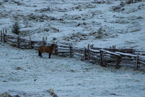 Fotografia de Patricio Rudolffi - Galeria Fotografica: Retratos - Foto: 
