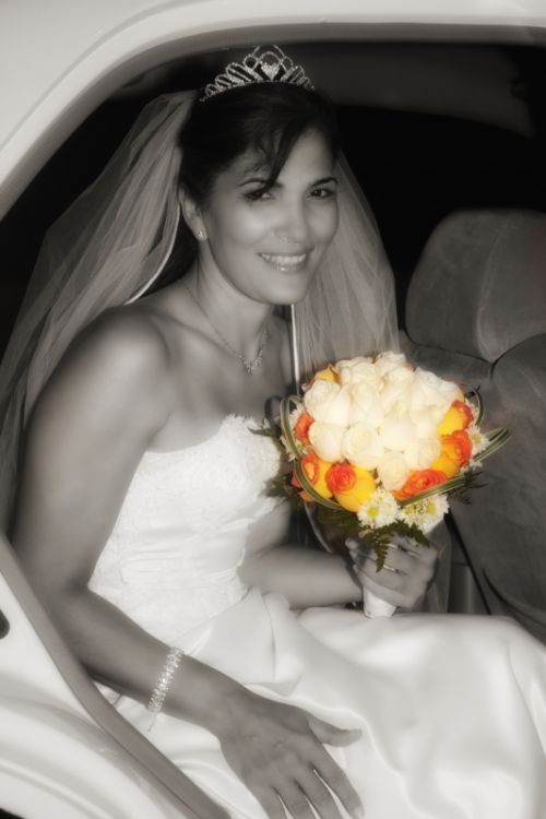 Fotografia de Bodas Mir Fotografias - Galeria Fotografica: Mir Fotografias - Foto: 