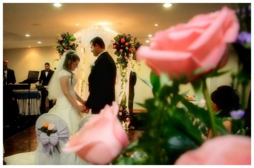 Fotografia de Bodas Mir Fotografias - Galeria Fotografica: Mir Fotografias - Foto: 