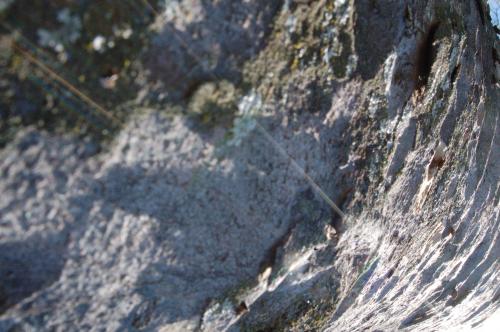 Fotografia de Santiago - Galeria Fotografica: refleccion sobre mi espacio - Foto: 