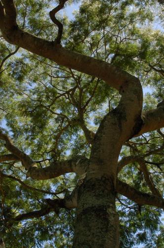 Fotografia de Santiago - Galeria Fotografica: refleccion sobre mi espacio - Foto: 