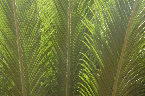 Fotografia de Santiago - Galeria Fotografica: refleccion sobre mi espacio - Foto: 