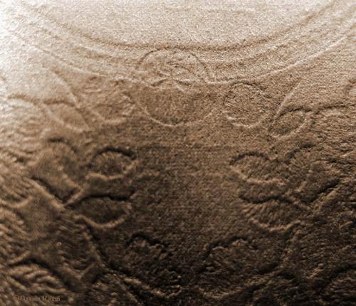 Fotografia de Ossain Raggi - Galeria Fotografica: �Rosas? - Foto: El l�mite, de la serie: Fashion Marks.