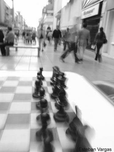 Fotografia de Artes Visuales - Galeria Fotografica: Inauguracion Salon Lentes del Norte - Foto: Movimiento de Piezas