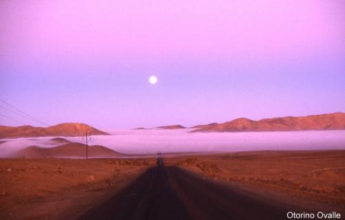 Fotografia de Artes Visuales - Galeria Fotografica: Inauguracion Salon Lentes del Norte - Foto: 