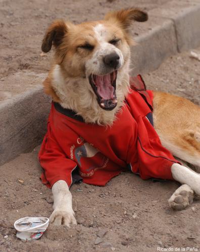 Fotografia de Artes Visuales - Galeria Fotografica: Inauguracion Salon Lentes del Norte - Foto: 