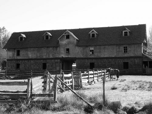 Fotografia de favu - Galeria Fotografica: en 2 colores y algo ms.... - Foto: construccin con historia