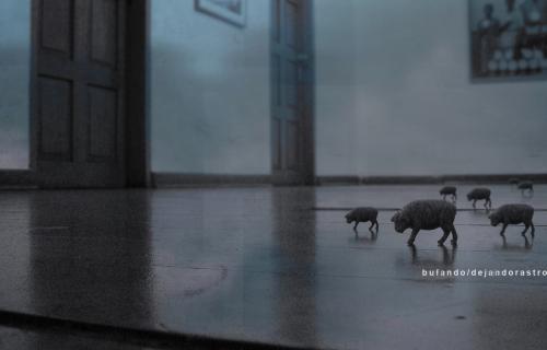 Fotografia de presionARTErial* - Galeria Fotografica: ++semionrica++ - Foto: /bufando/