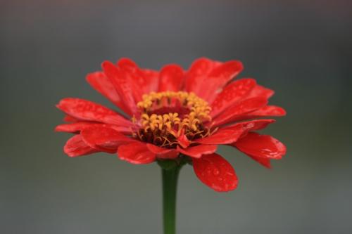 Fotografia de javi - Galeria Fotografica: diaspora - Foto: aerea