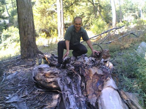 Fotografia de RAMON - Galeria Fotografica: FOTO ARTISTICA - Foto: 