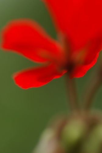 Fotografia de Albert photography - Galeria Fotografica: NATURALEZA - Foto: 