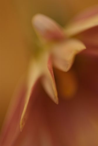 Fotografia de Albert photography - Galeria Fotografica: NATURALEZA - Foto: 