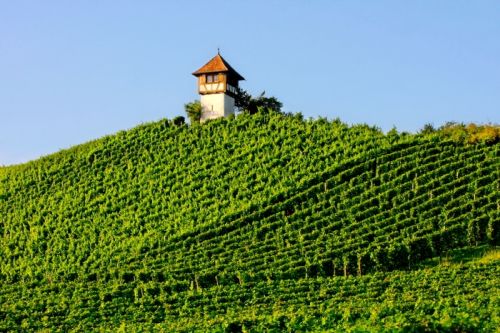 Fotografia de Valcrcel, fotgraf - Galeria Fotografica: Imagenes de Alemania - Foto: 