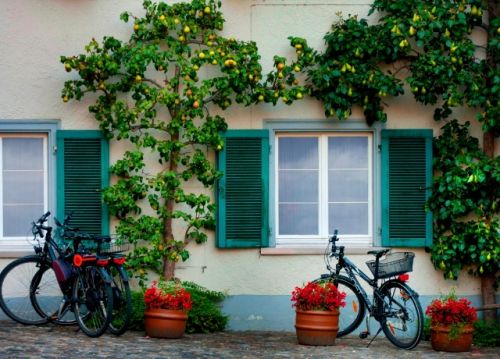 Fotografia de Valcrcel, fotgraf - Galeria Fotografica: Imagenes de Alemania - Foto: 