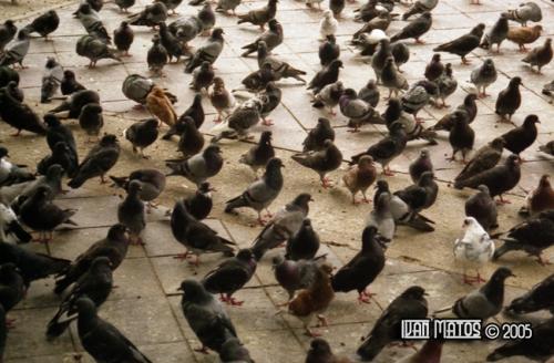 Fotografia de fotoingenio - Galeria Fotografica: Sitios 2 - Foto: 