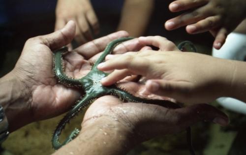 Fotografia de fotoingenio - Galeria Fotografica: Sitios 2 - Foto: 