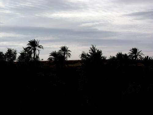 Fotografia de www.andalucine.com - Galeria Fotografica: Marruecos - Foto: Un camello en el horizonte
