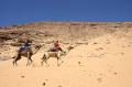 Fotos de Pere Hierro-Estudis&Creatius -  Foto: Egipto - Camelleros