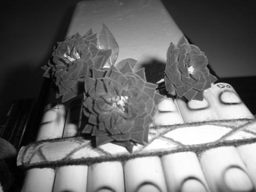 Fotografia de Luis Alberto - Galeria Fotografica: rosas y zampoa - Foto: fenix