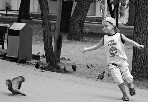 Fotografia de domestico - Galeria Fotografica: Los ciudadanos - Foto: Volar!