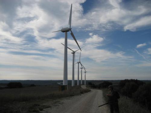 Fotografia de Pacote - Galeria Fotografica: Naturaleza - Foto: Enorme pero Noble