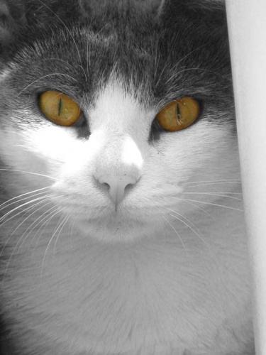 Fotografia de david - Galeria Fotografica: retratados - Foto: uma