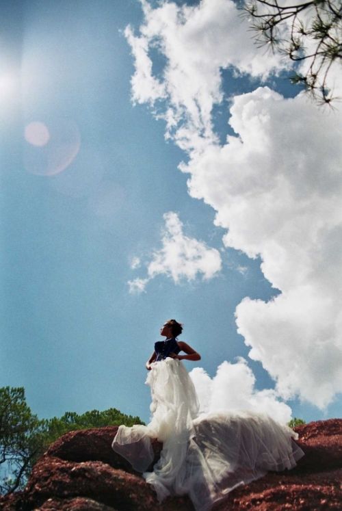 Fotografia de Cristian Huertas Fotografia - Galeria Fotografica: Lapin - Foto: Mimetizaci�n