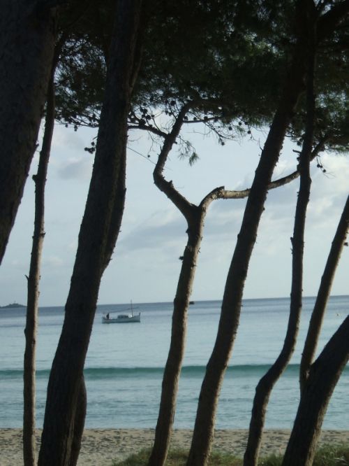 Fotografia de sky - Galeria Fotografica: lo mas bonito - Foto: llaut