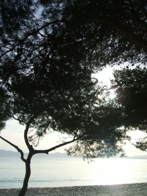 Fotografia de sky - Galeria Fotografica: lo mas bonito - Foto: el mar